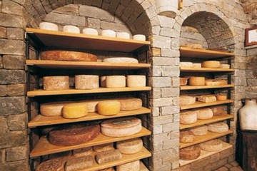 Tasting room