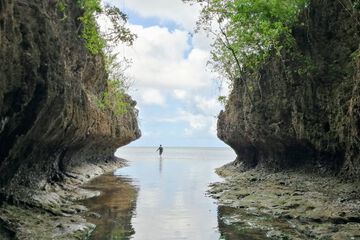 Ecotours