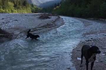 Photo 22