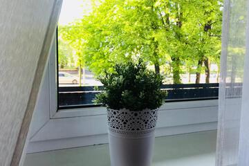 Photo 33