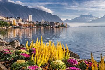 Lake view