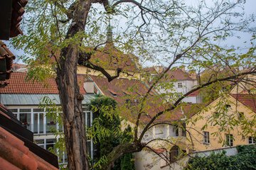 Land view from property