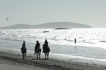 Horseback riding