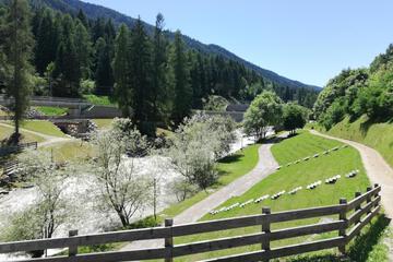 Photo 40