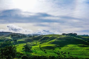 Land view from property