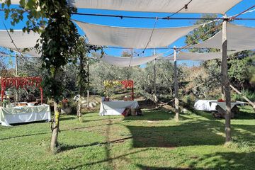 Outdoor wedding area