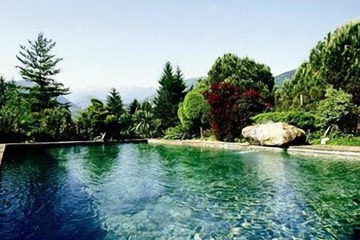 Natural pool