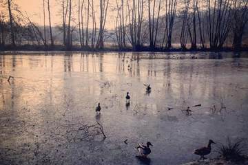 Lake