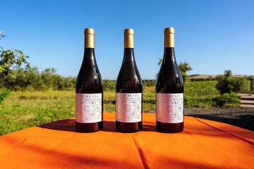 Winery