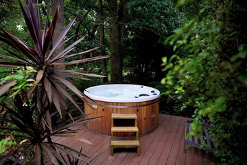 Private spa tub