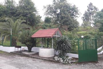 Photo 36
