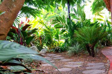 Garden view