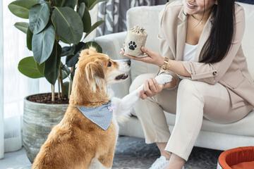 Pet-friendly