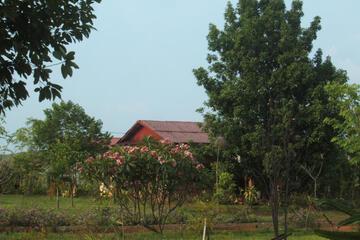 Photo 42