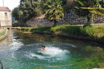 Photo 47
