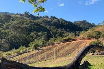 Winery