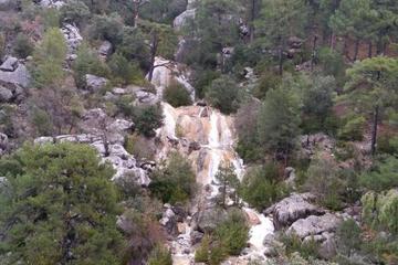 Photo 33