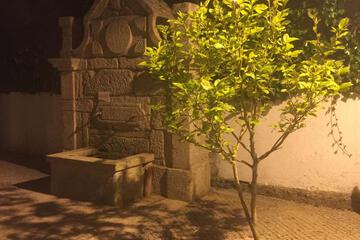 Photo 57