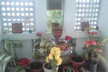 Photo 46