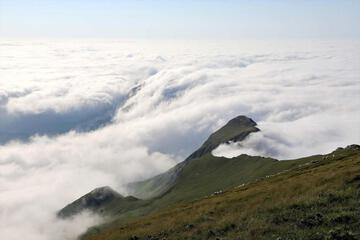 Photo 50
