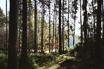Hiking