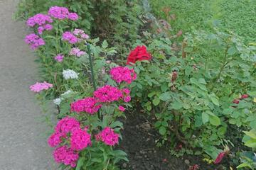 Photo 29