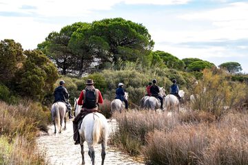 Horseback riding