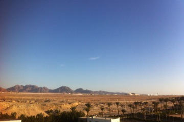 View from room