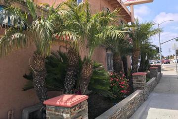 Photo 40