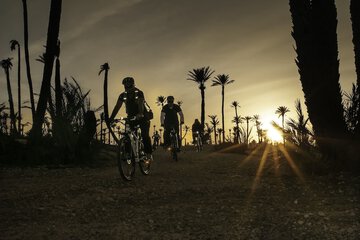 Bicycling