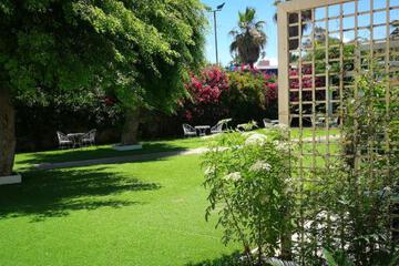 Photo 24