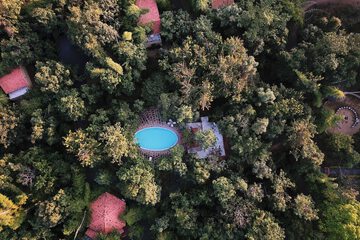 Natural pool
