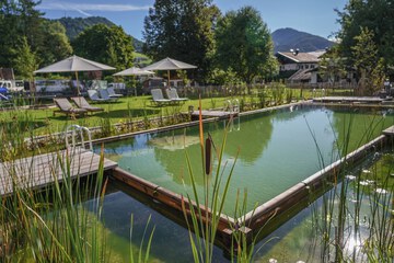 Natural pool