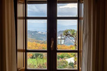 View from room