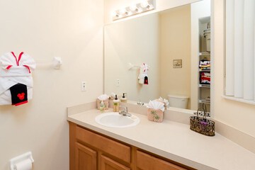 Bathroom sink