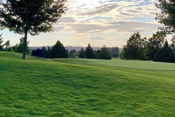 Golf view