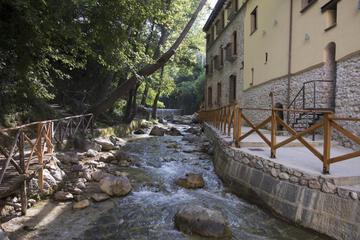 Photo 45
