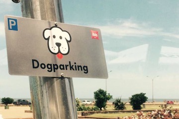 Pet-friendly