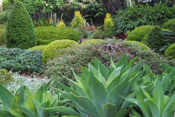 Photo 41