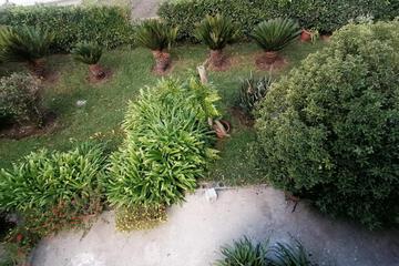 Photo 35