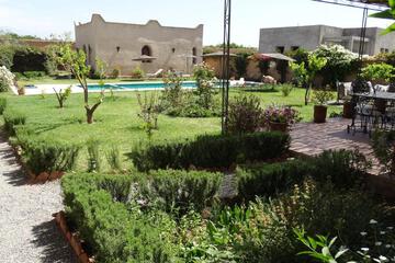 Photo 62