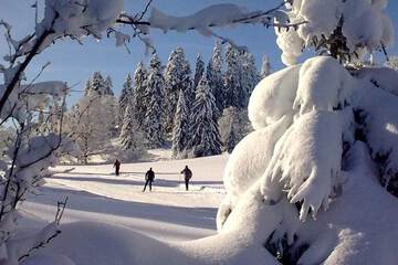 Skiing