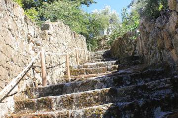 Photo 37