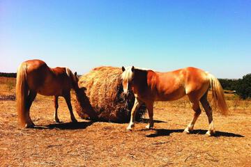 Ecotours