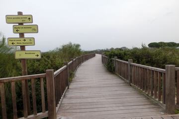 Hiking
