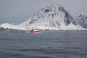Photo 44