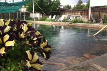 Natural Pool