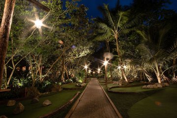 Mini-golf