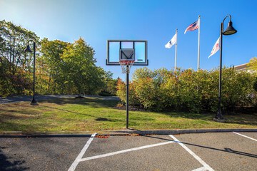 Basketball court