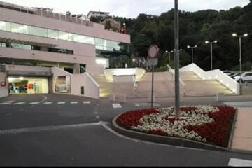 Photo 43